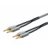 Monolith by Monoprice 14AWG Oxygen Free Copper Multi-Strand Conductors PE Insulated Speaker Wire with Gold Plated Banana Plug Connectors, 6ft - Pair